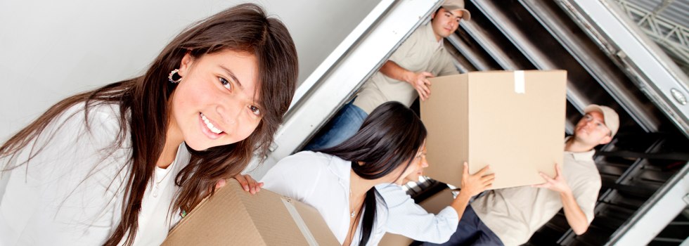 Professional Removalists Deans Marsh